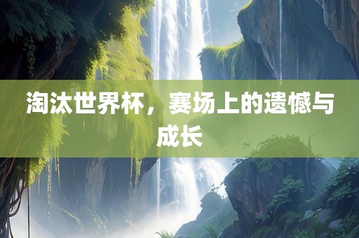 淘汰世界杯,赛场上的遗憾与成长石家庄宴和餐饮管理有限公司